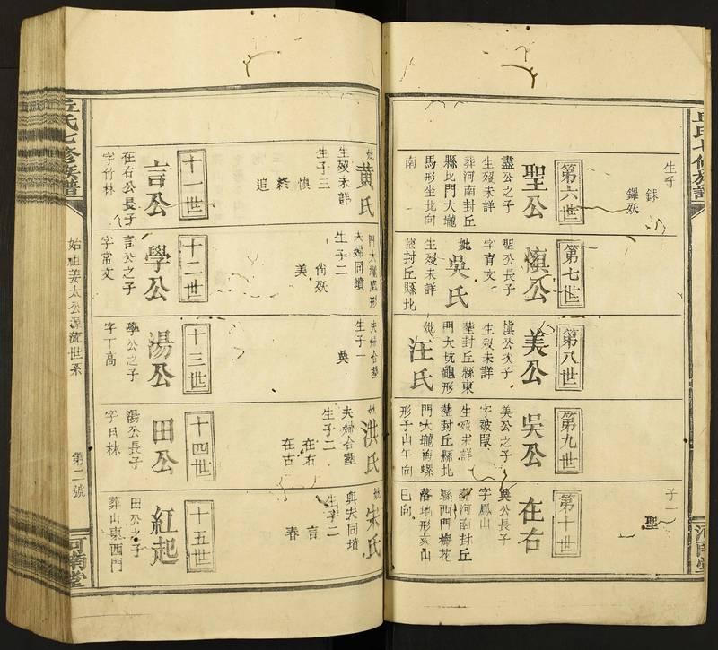 族谱预览