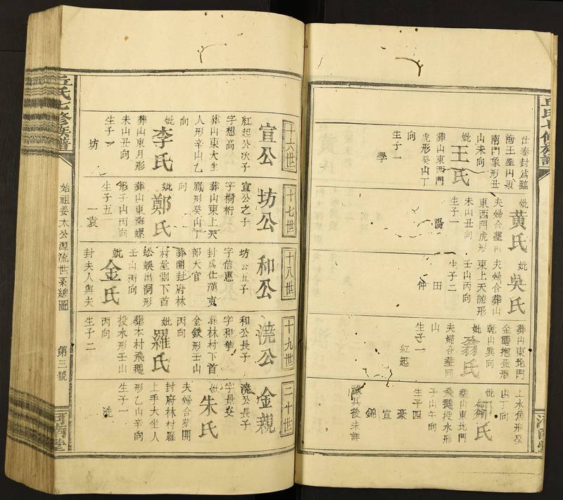 族谱预览