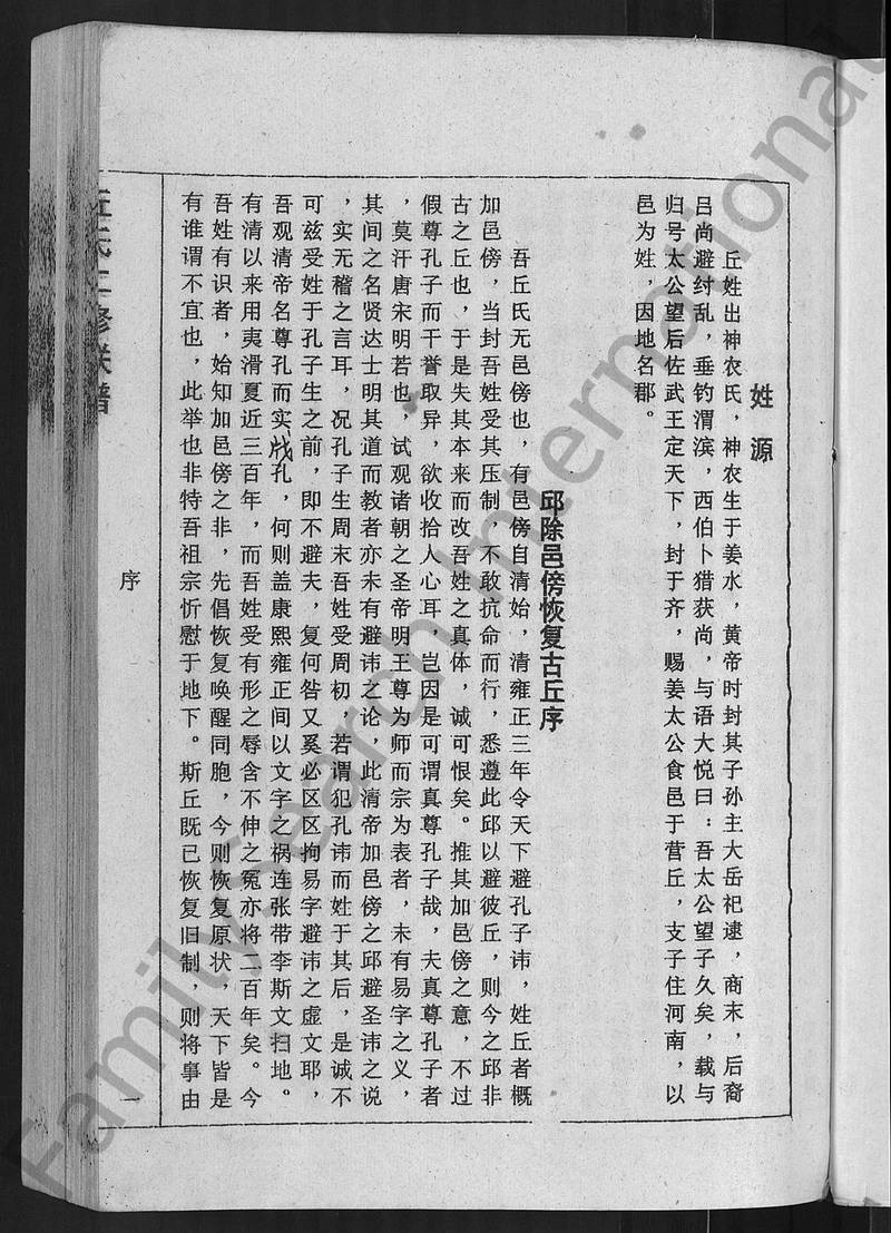 族谱预览