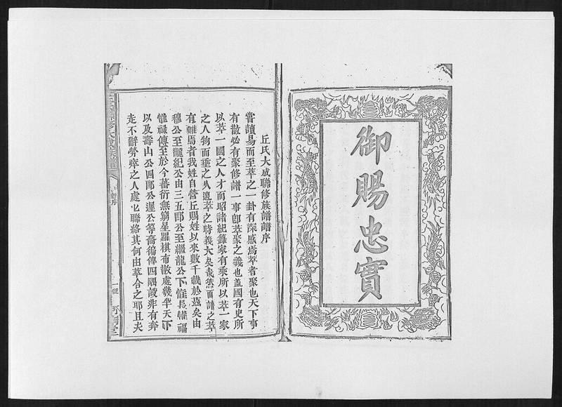 族谱预览