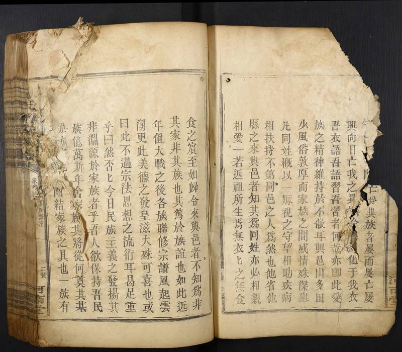 族谱预览