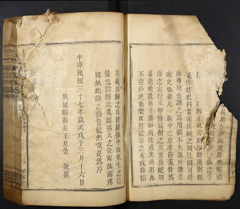 族谱预览