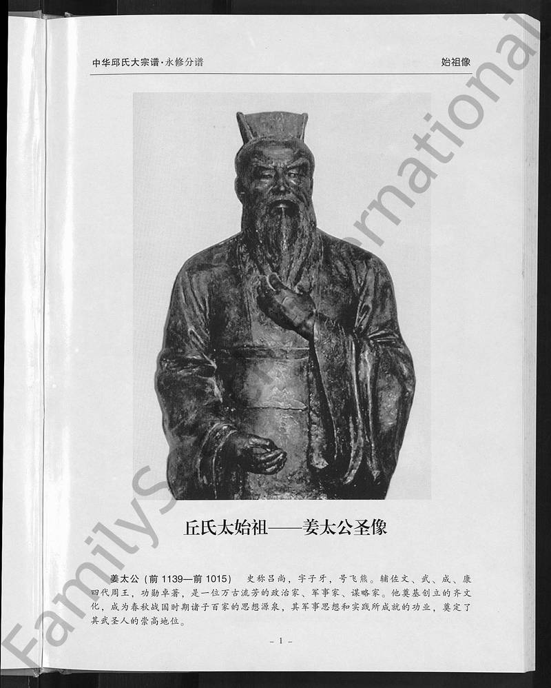 族谱预览