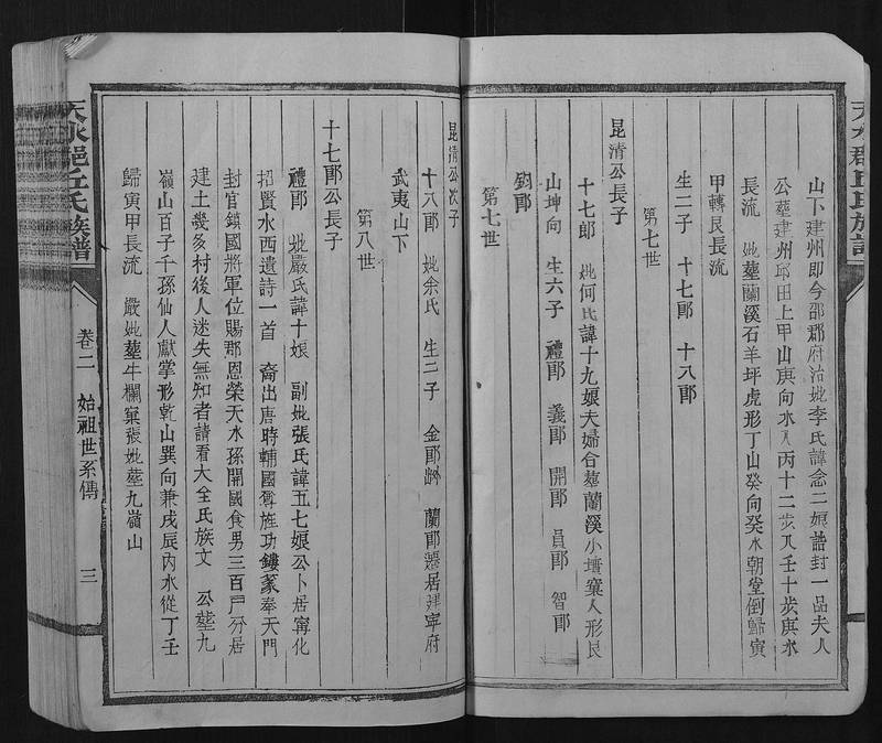 族谱预览