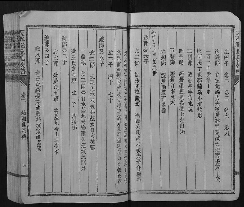 族谱预览