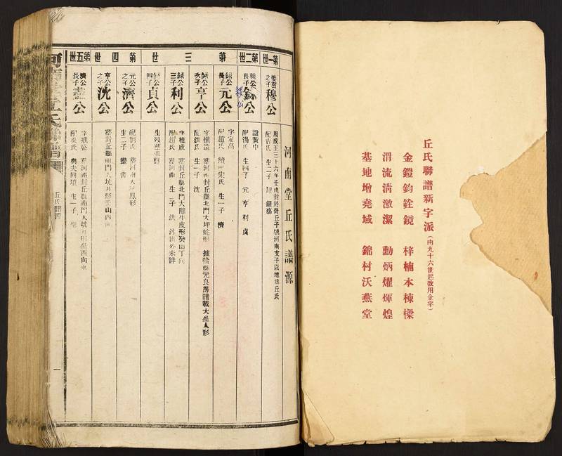 族谱预览