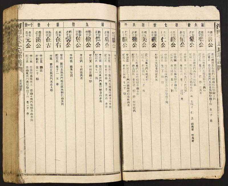 族谱预览
