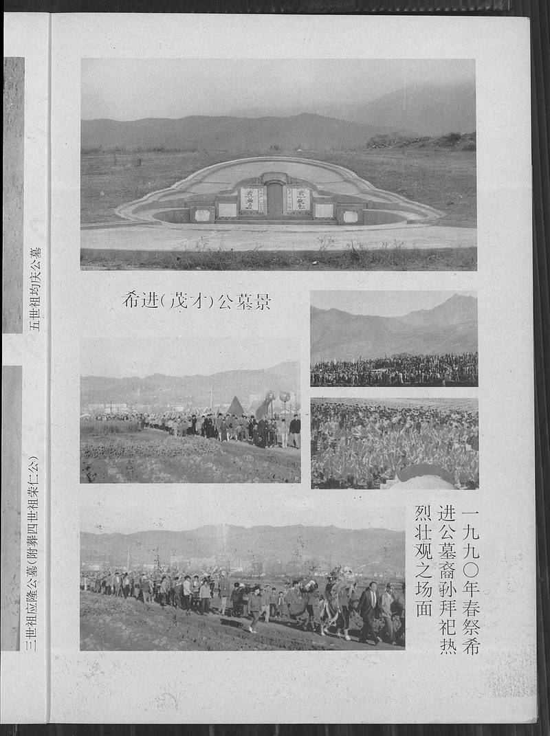 族谱预览