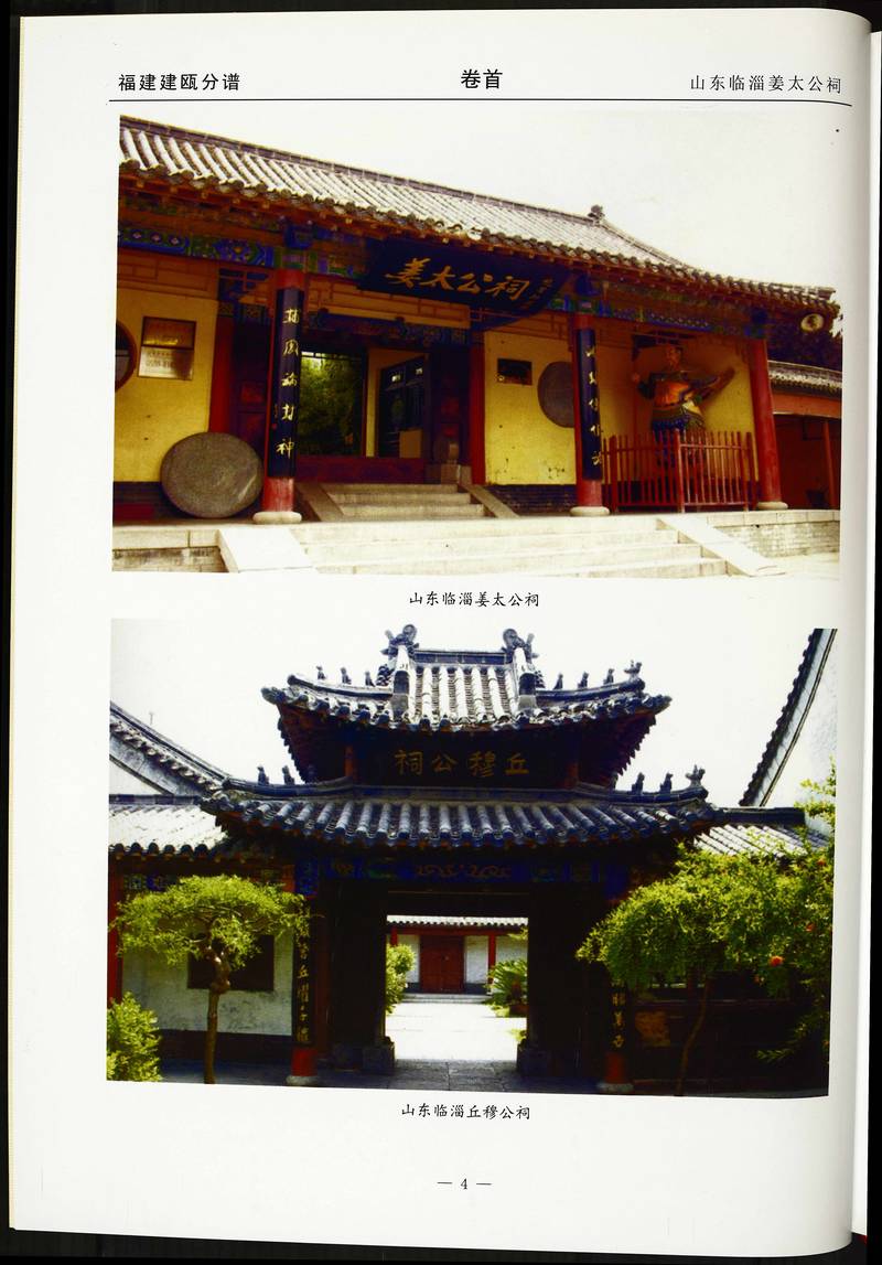 族谱预览