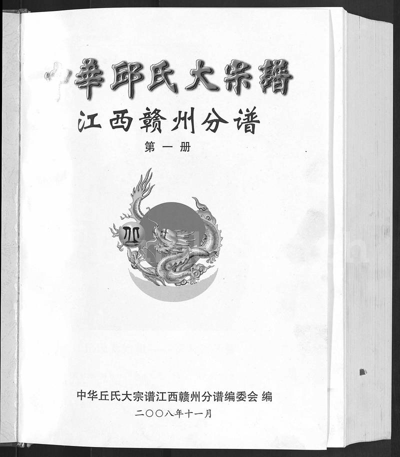 族谱预览