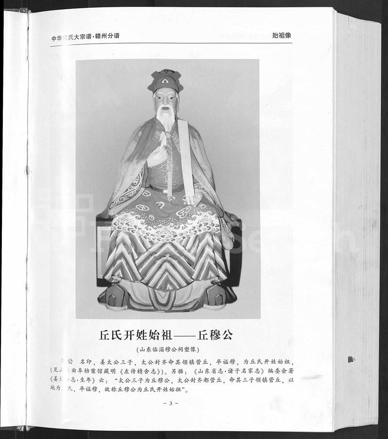 族谱预览