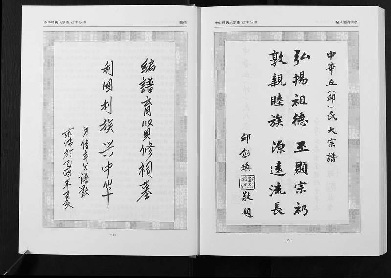 族谱预览