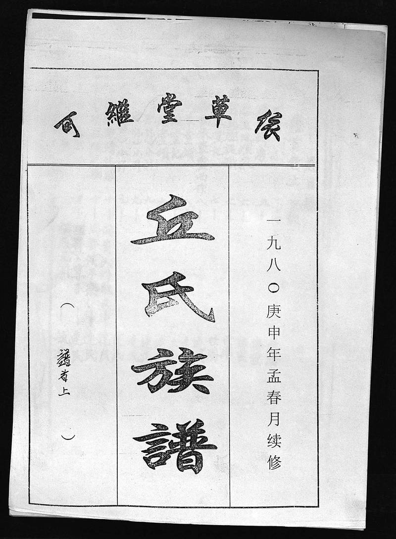 族谱预览