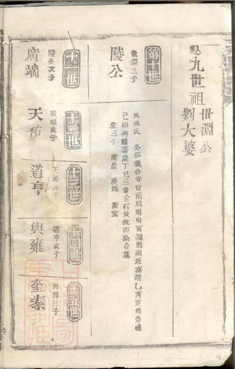 族谱预览