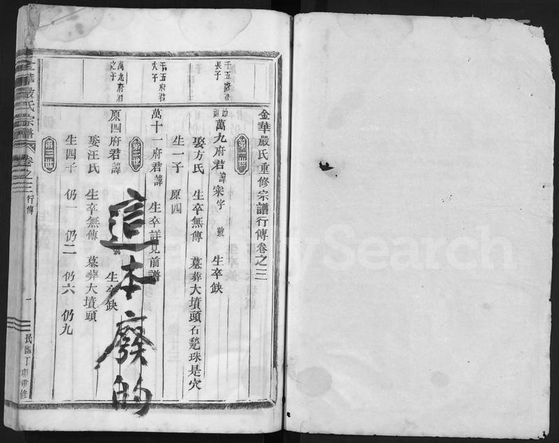 族谱预览
