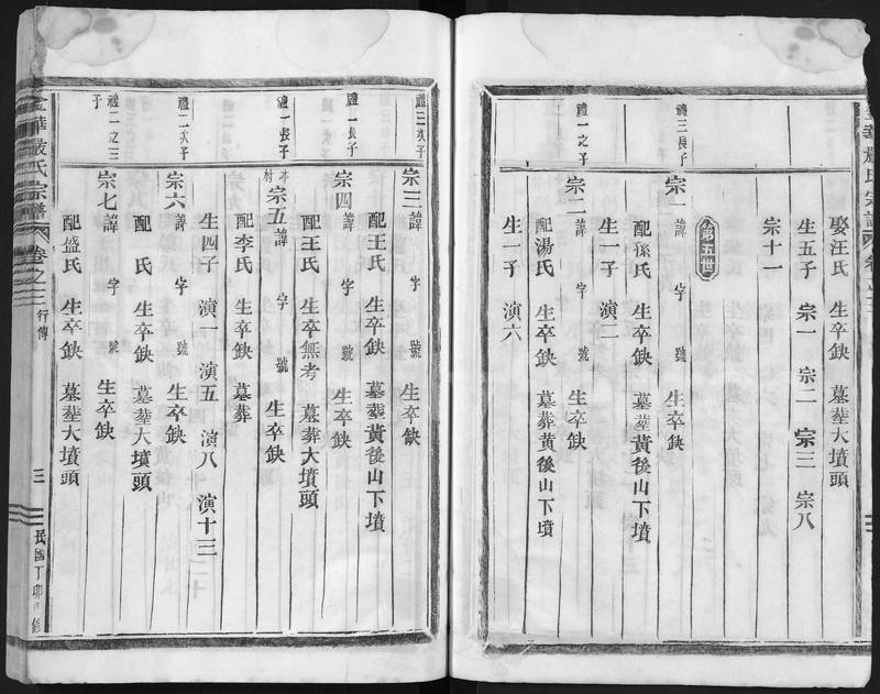 族谱预览