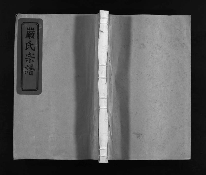 族谱预览