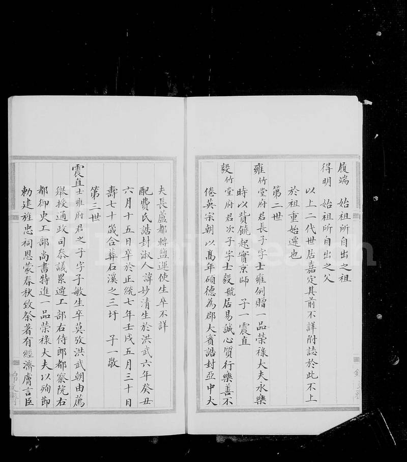 族谱预览