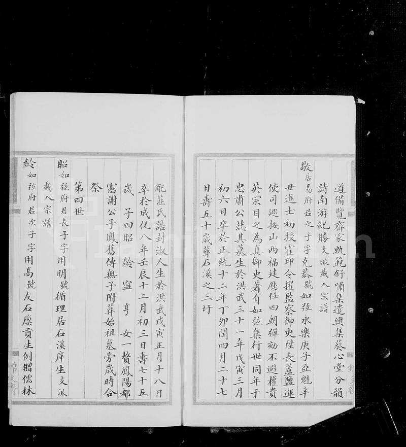 族谱预览
