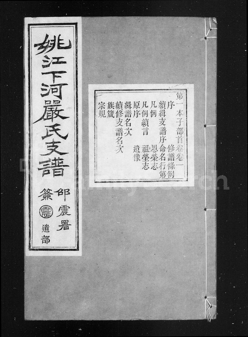 族谱预览