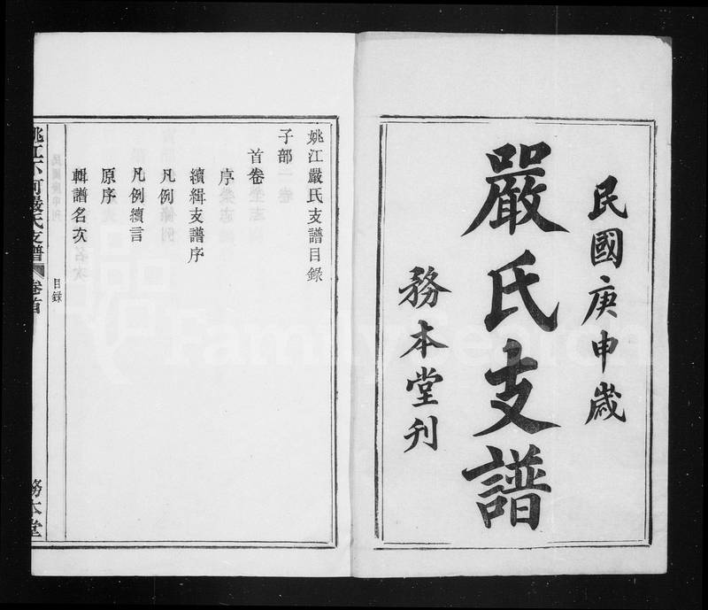 族谱预览