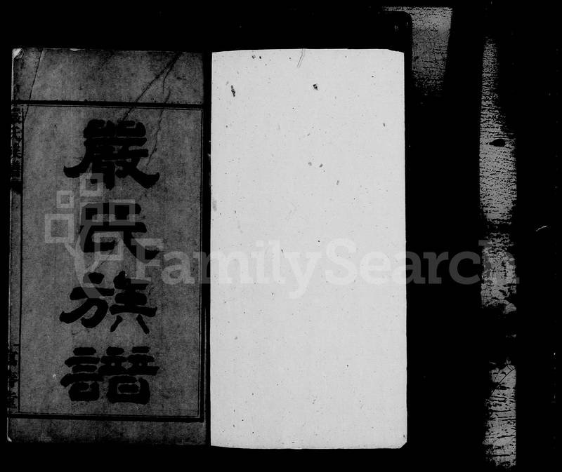 族谱预览