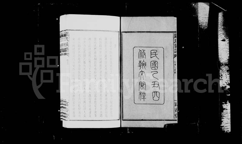族谱预览