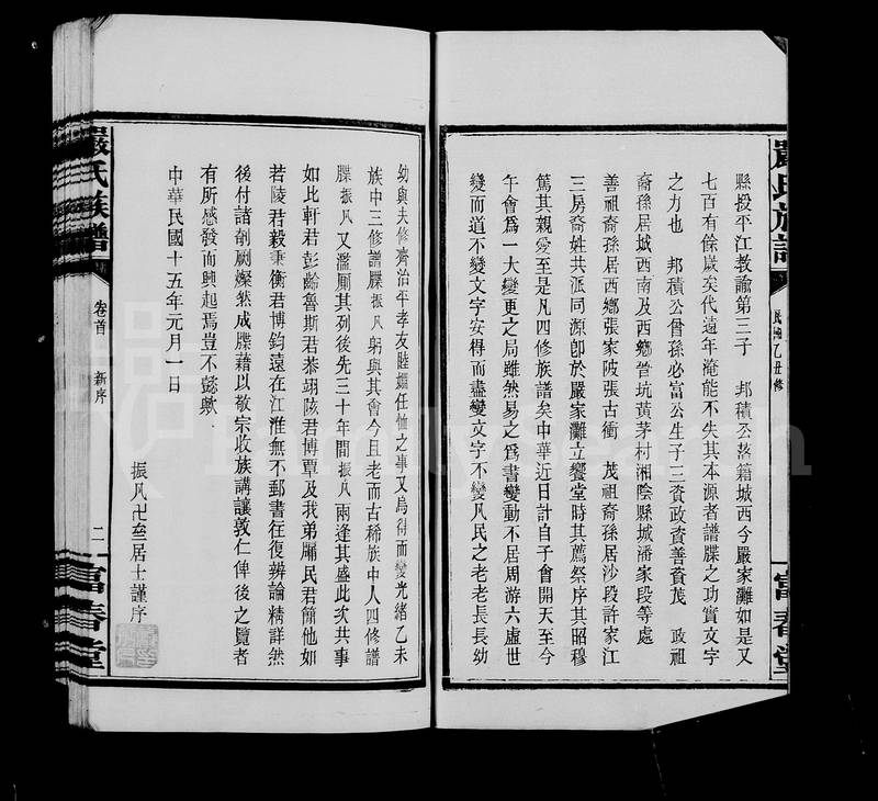 族谱预览
