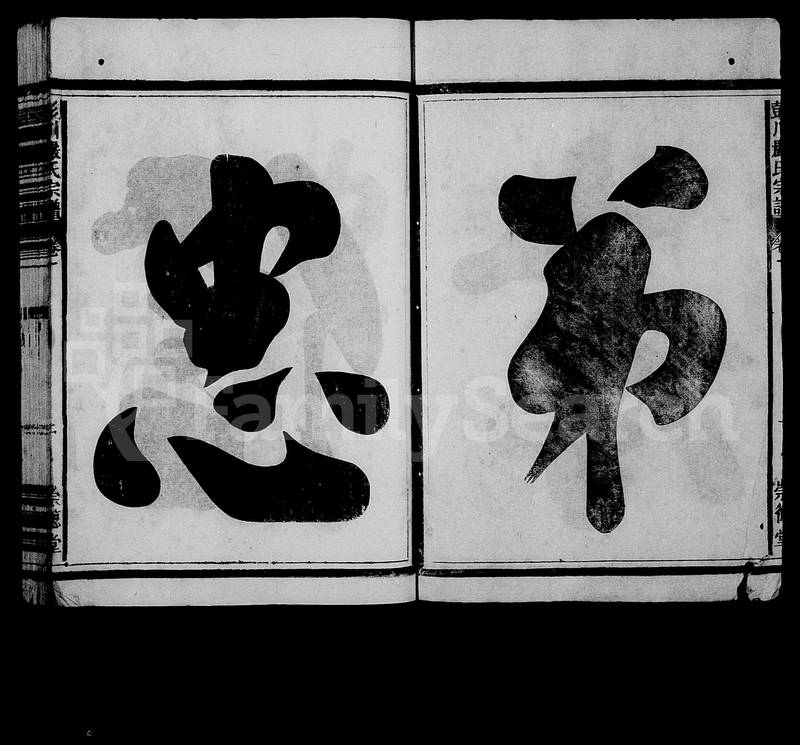族谱预览