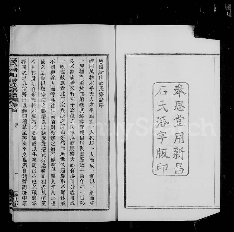 族谱预览