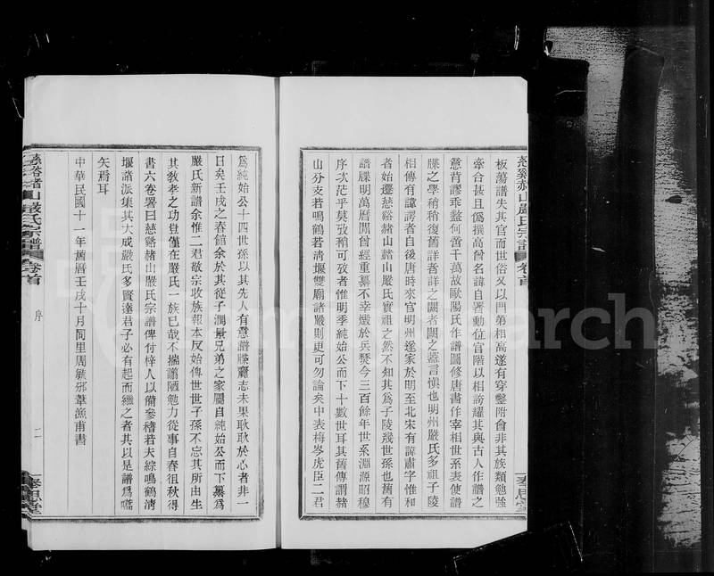 族谱预览