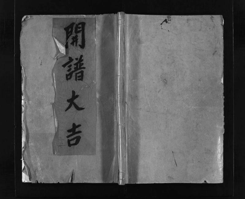 族谱预览