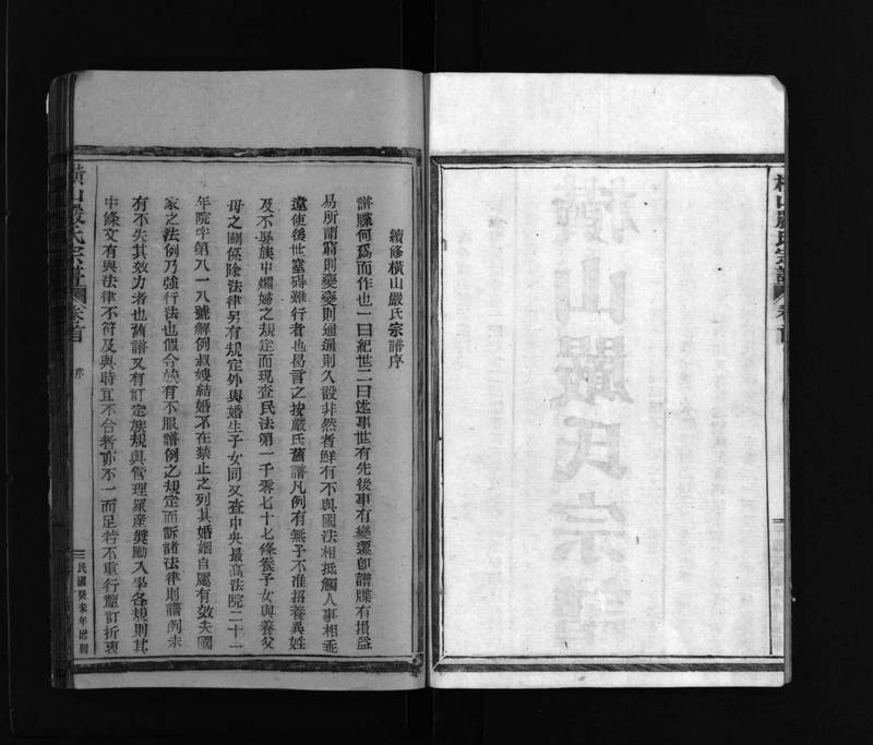 族谱预览