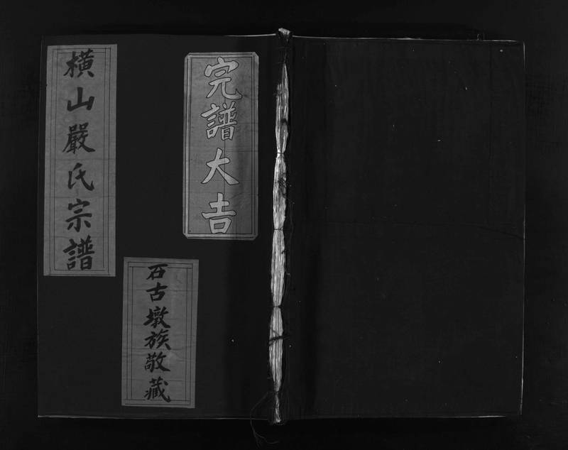 族谱预览