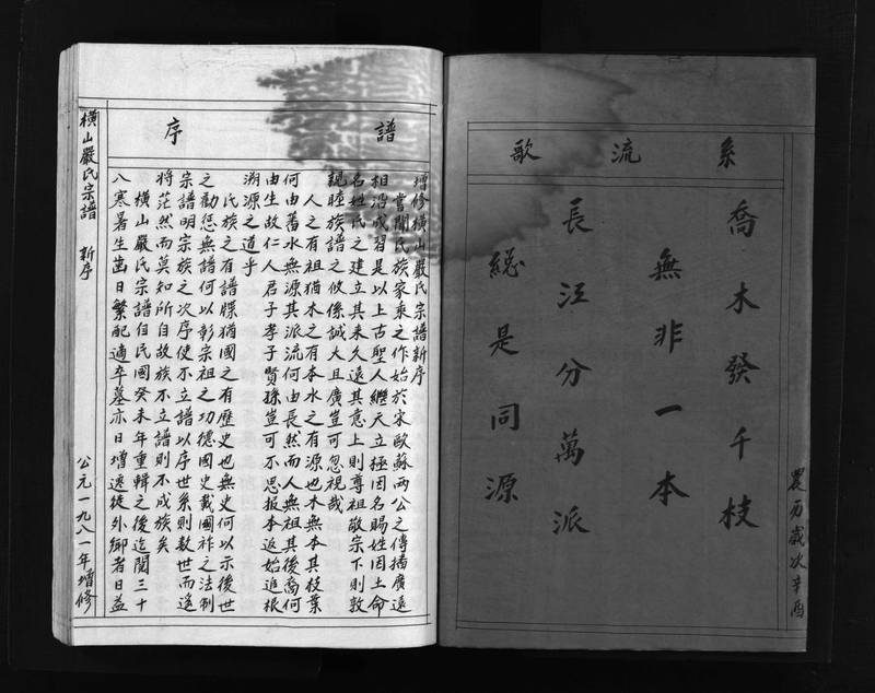 族谱预览