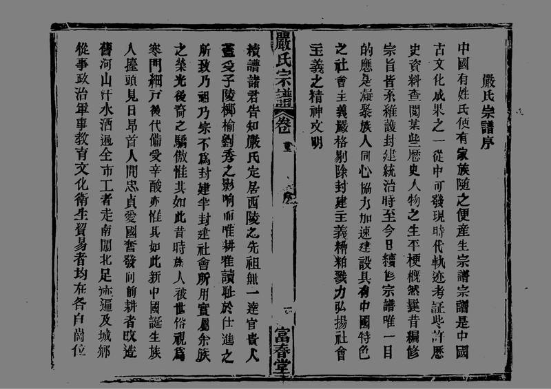 族谱预览