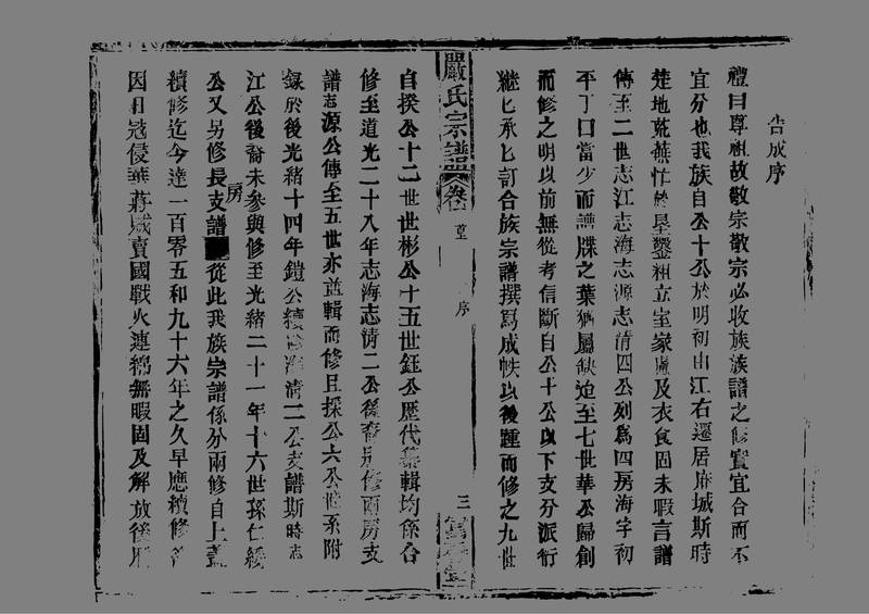 族谱预览