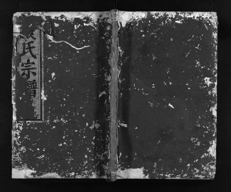 族谱预览