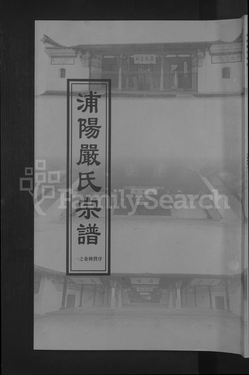 族谱预览