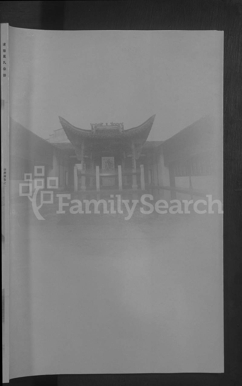 族谱预览