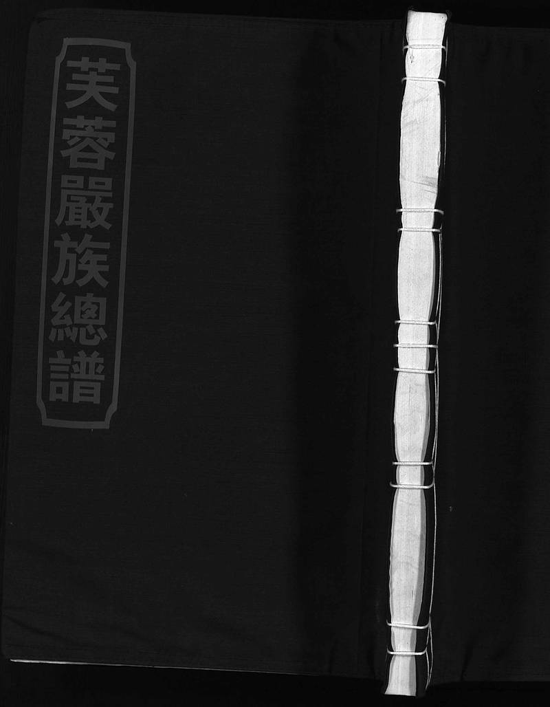 族谱预览