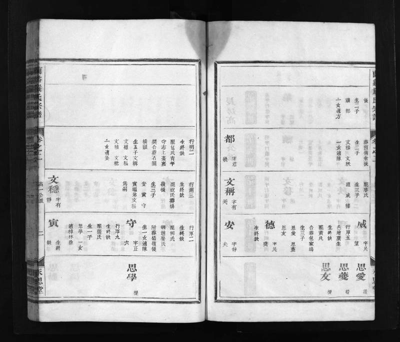 族谱预览