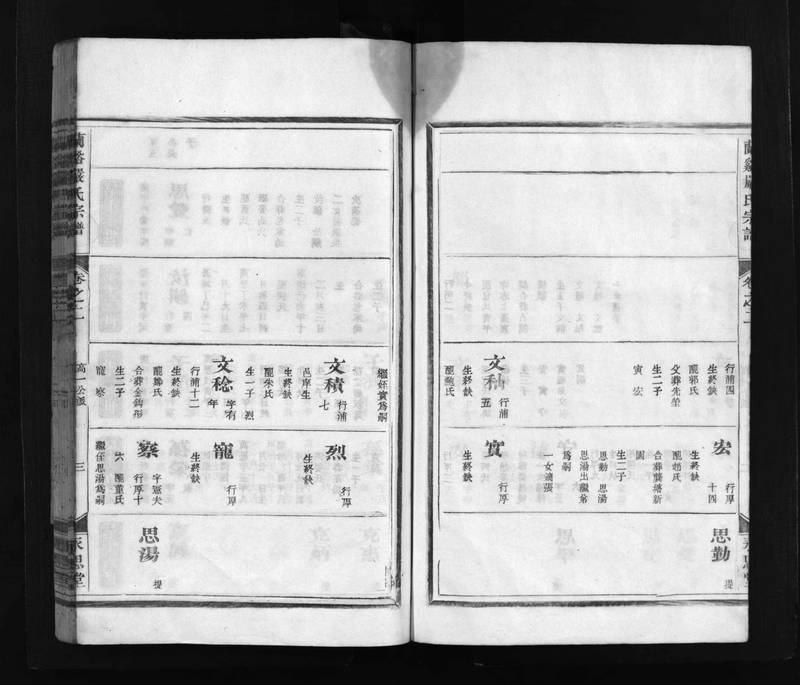 族谱预览