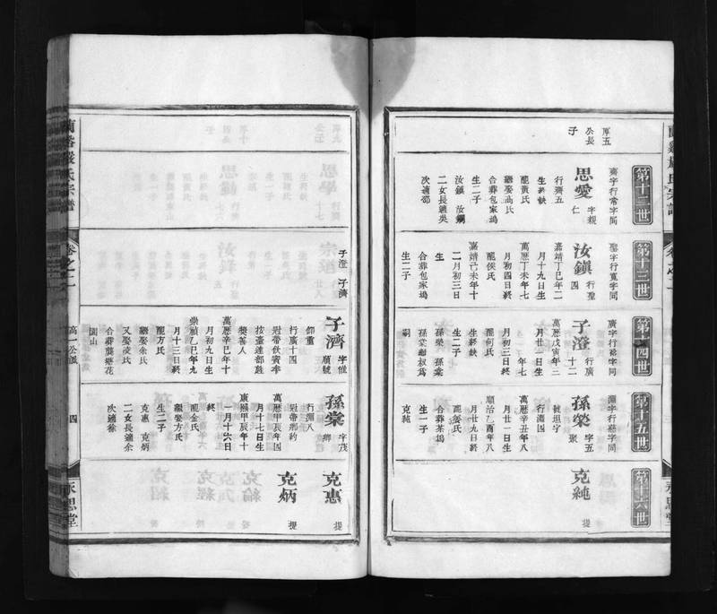 族谱预览
