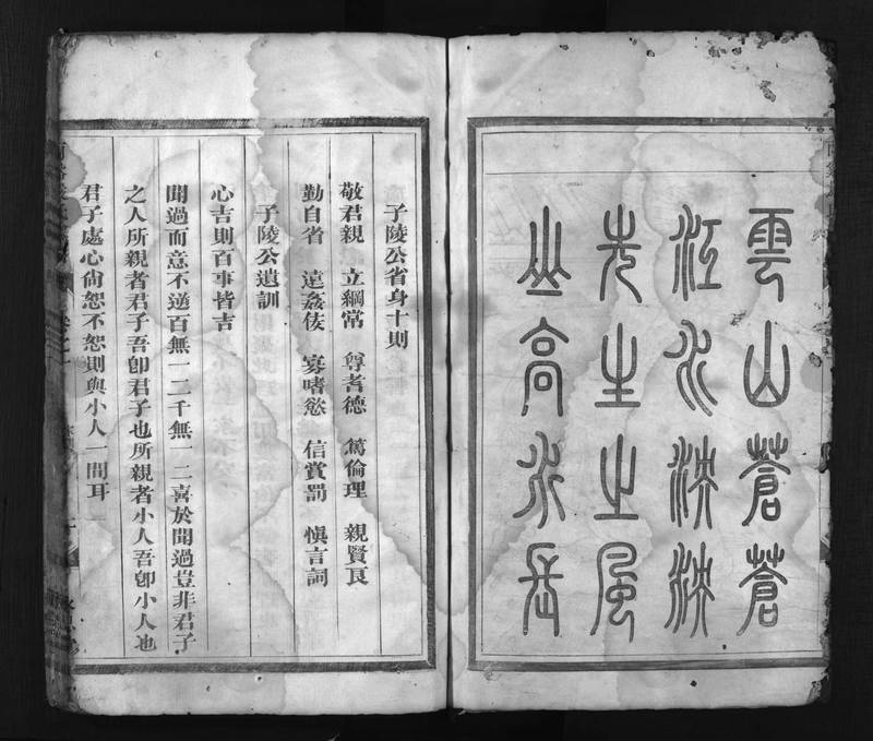 族谱预览