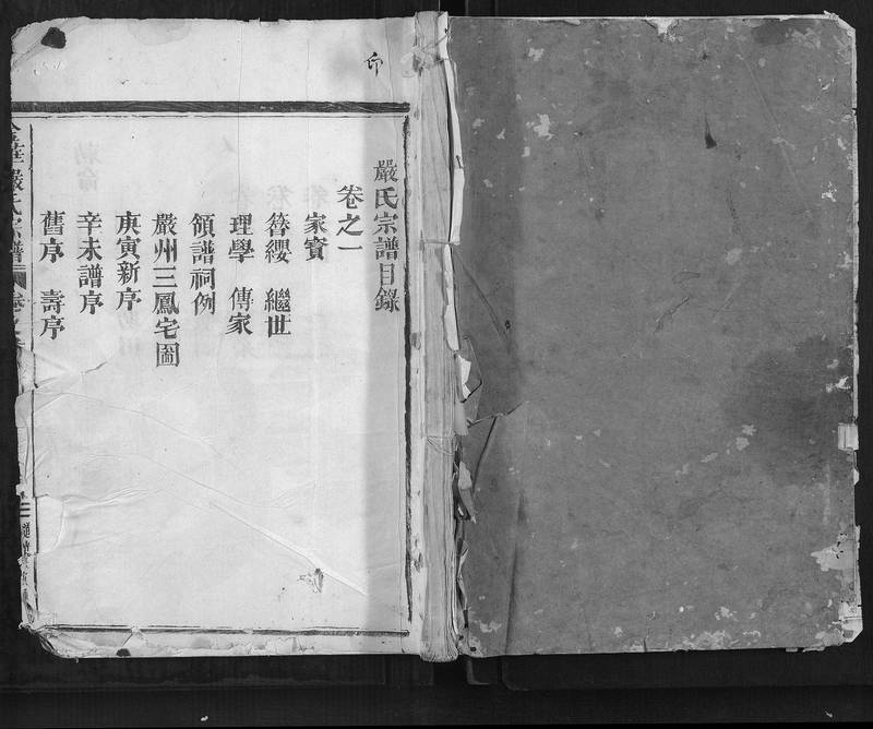 族谱预览