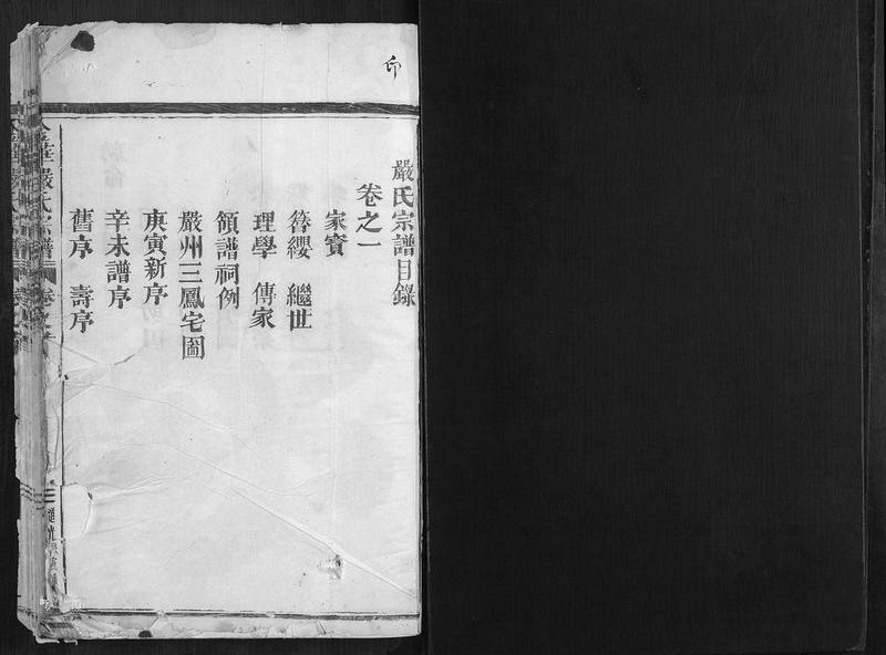 族谱预览