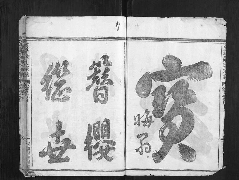 族谱预览