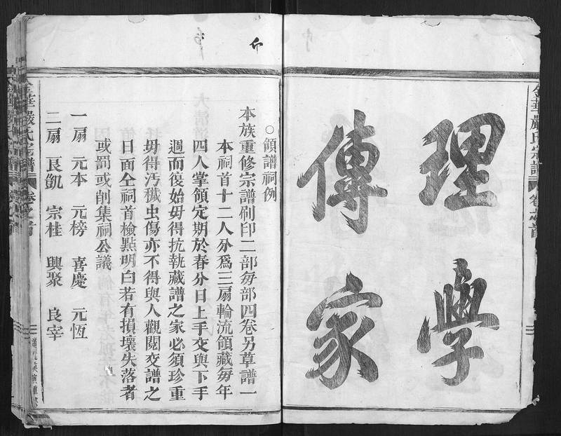 族谱预览