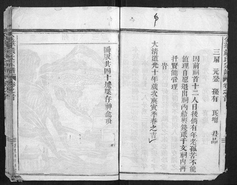 族谱预览
